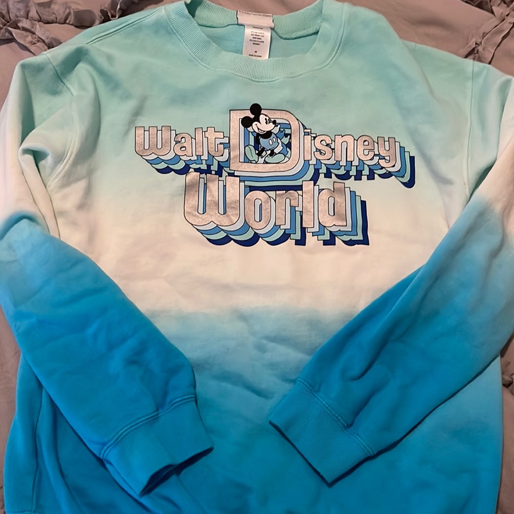 Walt Disney World sweater